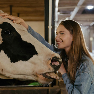 Çiftlik Hayvancılığı