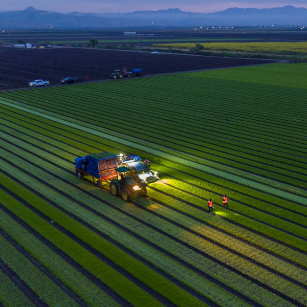 Organik Tarım ve Bahçecilik