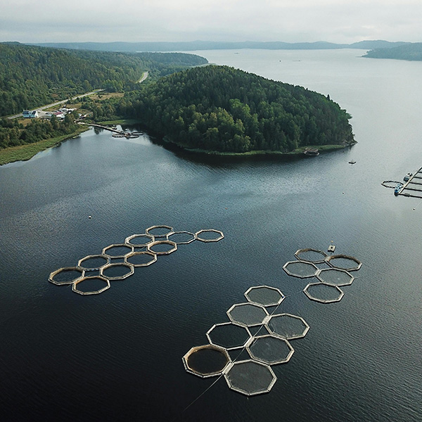 Su Ürünleri ve Akuakültür