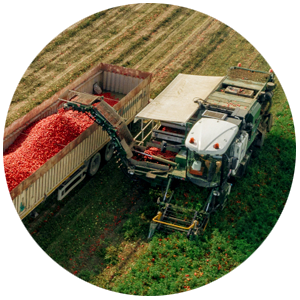 Tohumdan Sofraya Ekonomi Sistemi