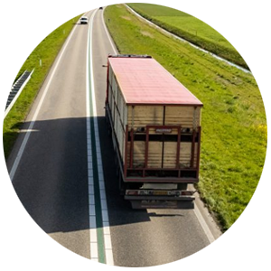 Tohumdan Sofraya Ekonomi Sistemi